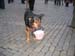 berceau_enfant _pisseur220106 059