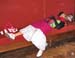 KVS_8-9-0406_106